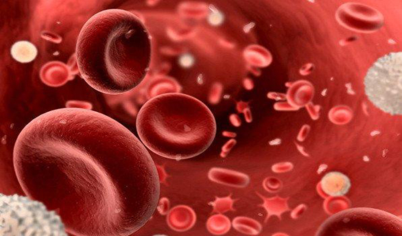 Anemie hemolitică | Află mai multe din dicționarul SANADOR!